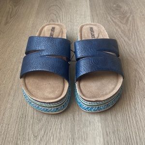 Navy Platform Slides